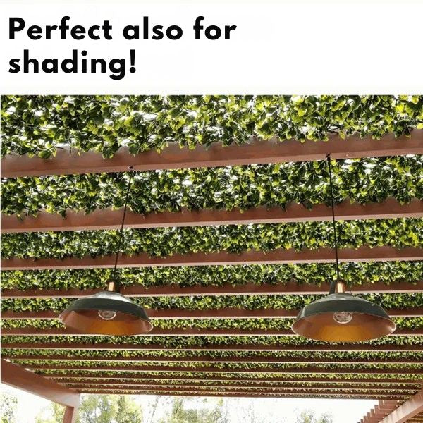 1 + 1 GRATUIT AUJOURD'HUI | GardenScape™ | Une intimité sans effort avec une touche de nature !