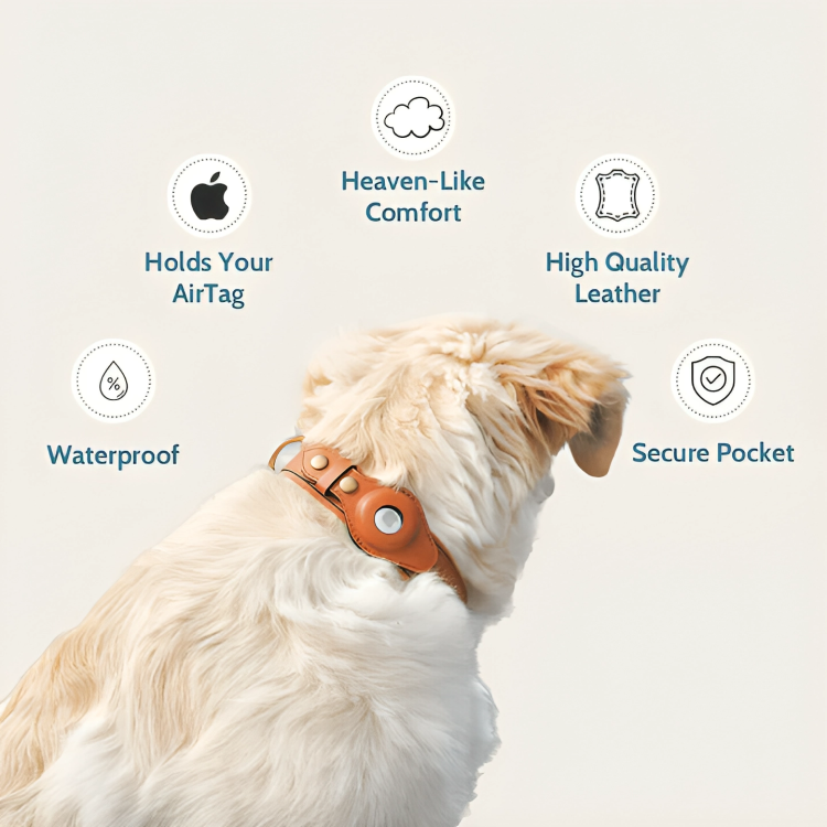 50% DE REMISE TEMPORAIRE | TrackTailsâą | Collier pour chien en cuir avec pochette pour AirTag