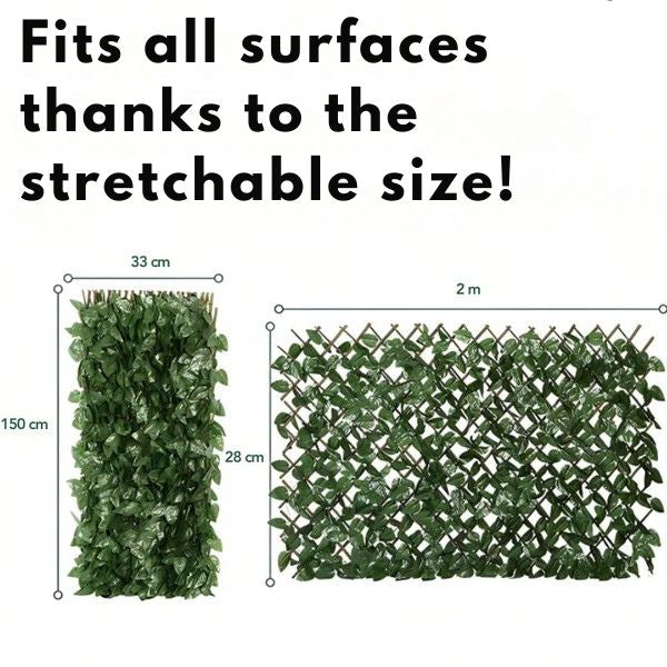 1 + 1 GRATUIT AUJOURD'HUI | GardenScape™ | Une intimité sans effort avec une touche de nature !