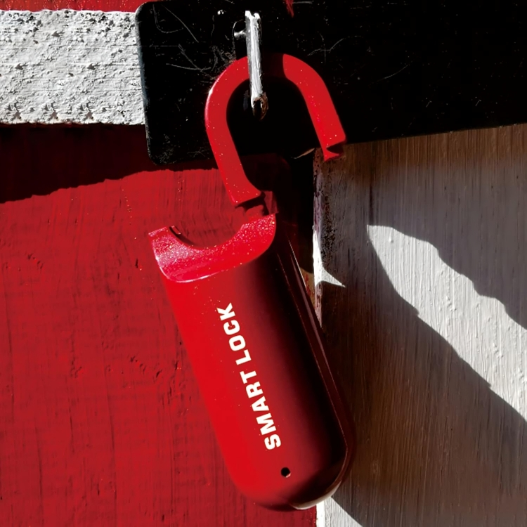 50 % DE REMISE TEMPORAIRE | EvoLock™ | Mini-cadenas biométrique