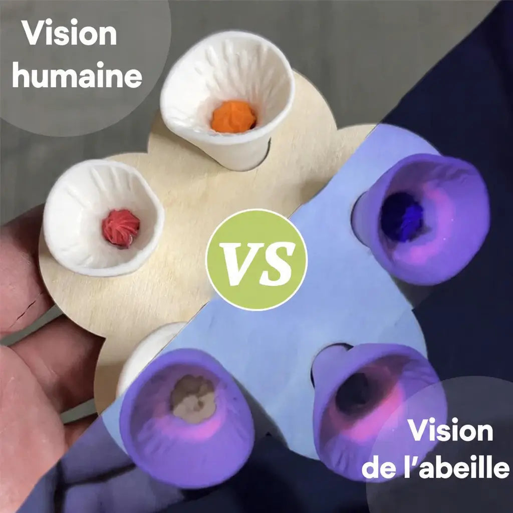 BeeQuench vision humaine vs abeille