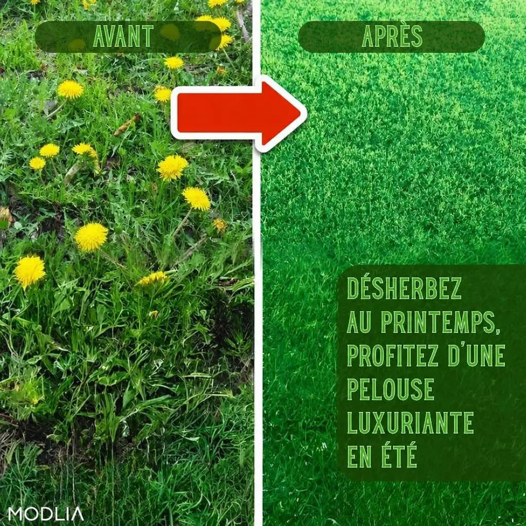 WeedBuster pelouse