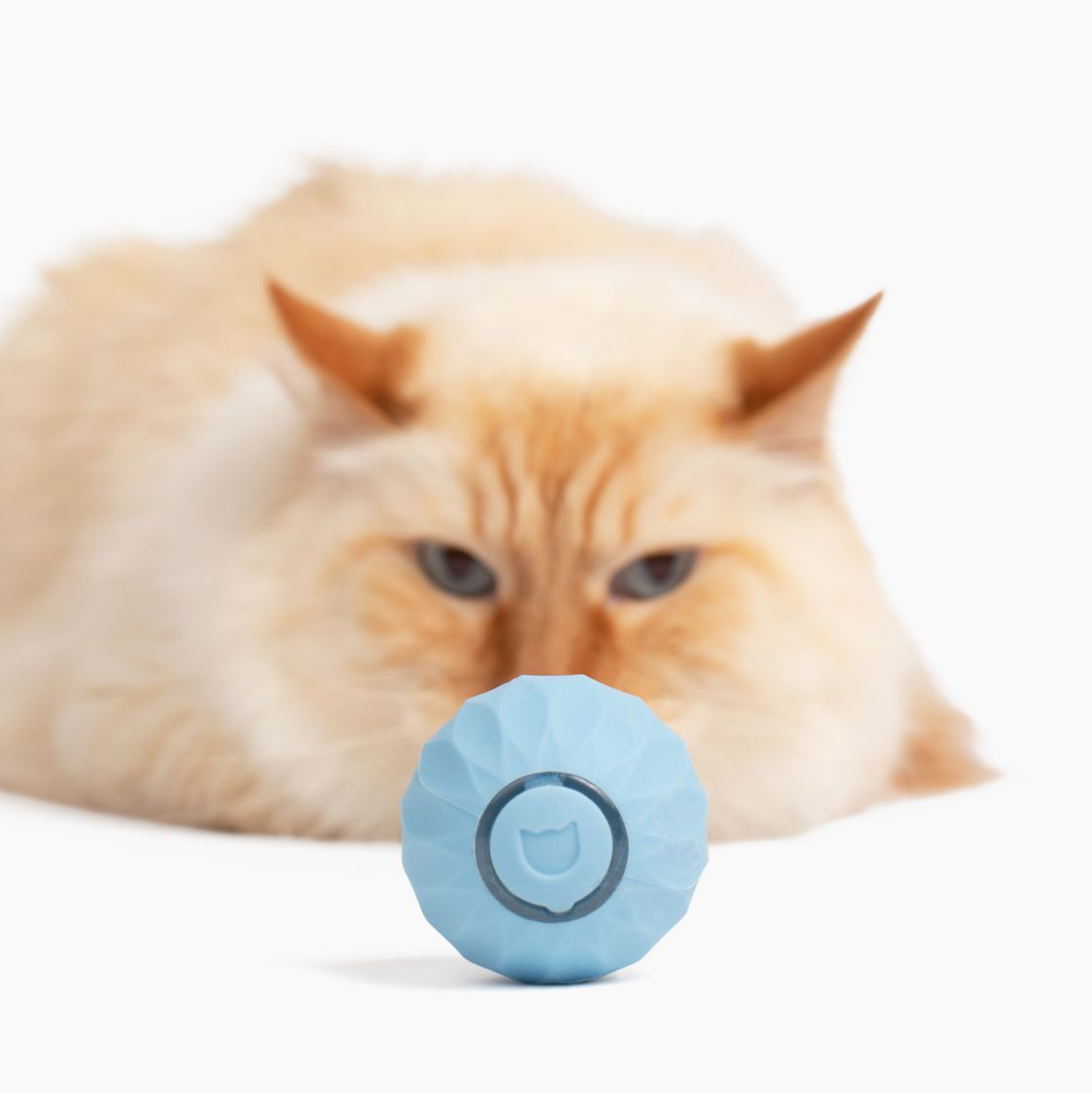 50% DE REMISE TEMPORAIRE | WhiskerWheel™ | Jouet interactif pour chats Powerball