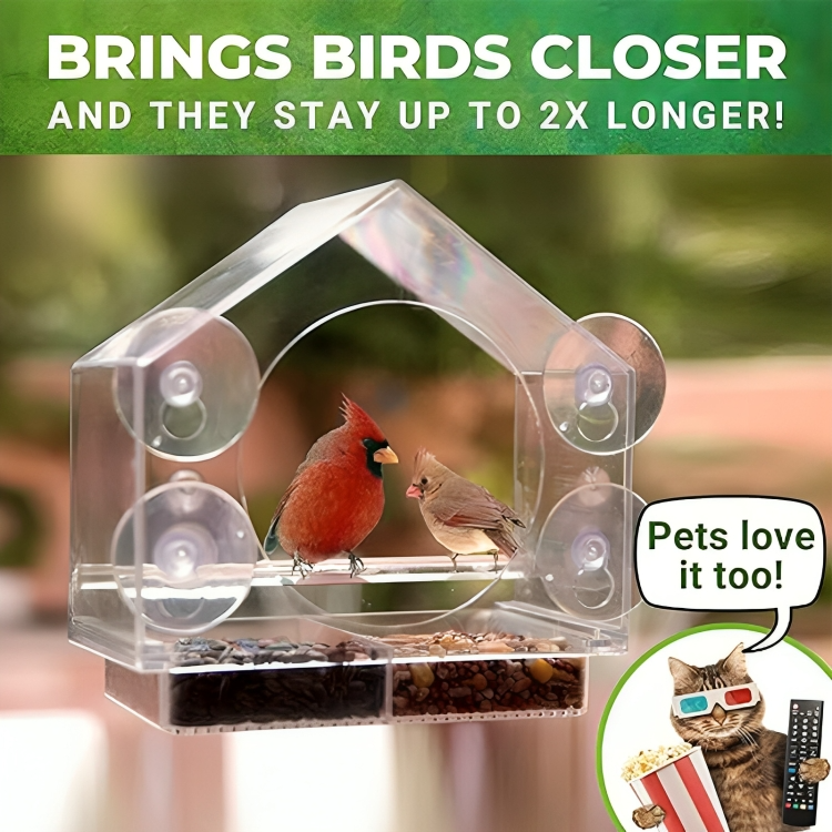 50 % DE REMISE TEMPORAIRE | PerchViewâą | Transformez votre fenĂȘtre en une rĂ©serve naturelle personnelle pour les oiseaux !