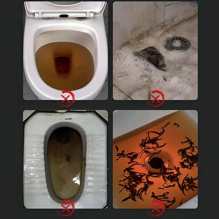 50% DE REMISE TEMPORAIRE | BlastPlunge™ | Éliminez les obstructions de toilettes en quelques secondes !