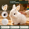 -50 % · OFFRE LIMITÉE · BunnyBot™ · Un compagnon tout doux qui prend vie !