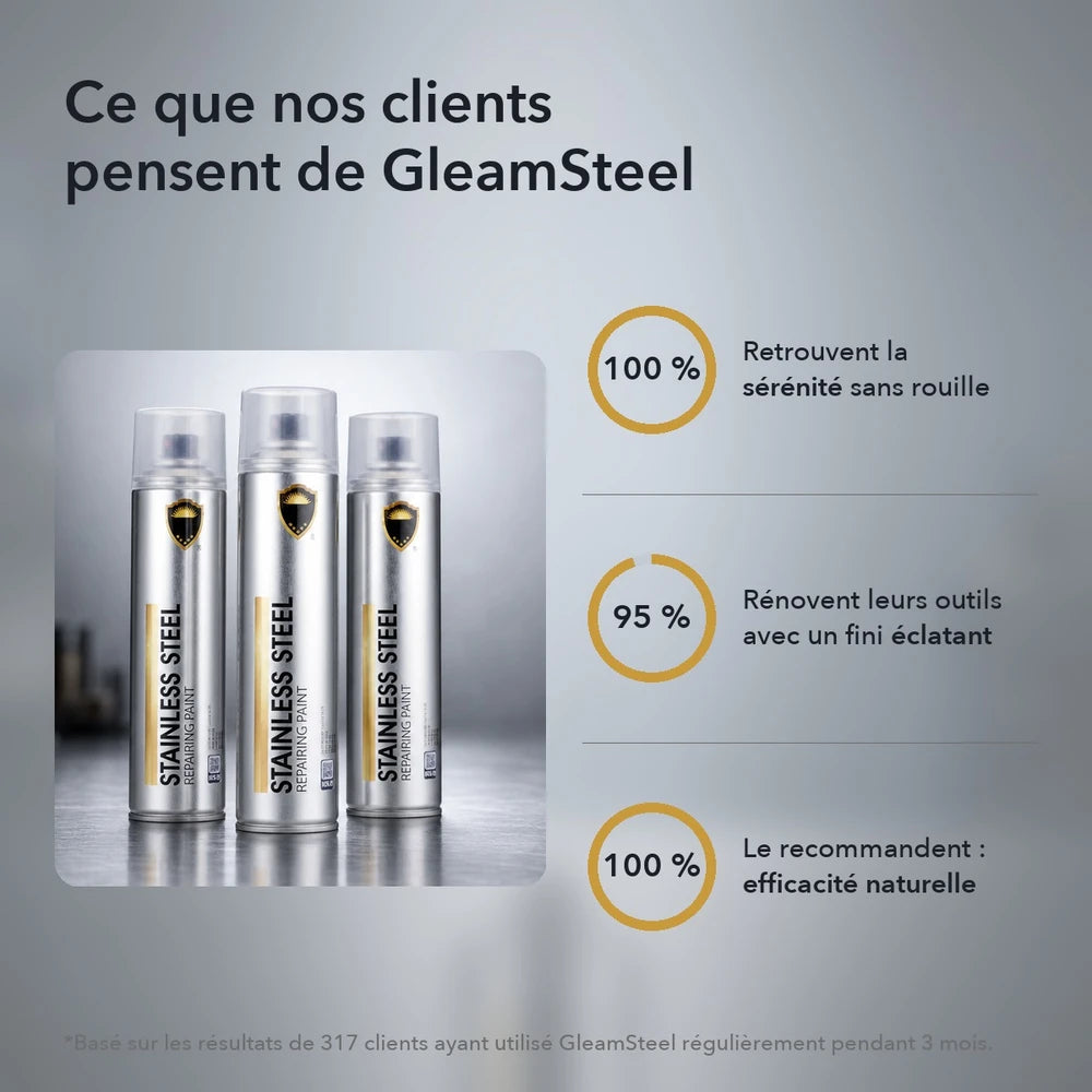 1+2 OFFERT · AUJOURD'HUI · GleamSteel™ · Peinture en spray chrome inoxydable