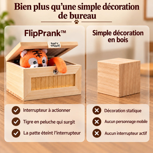 Photographie produit flipprank en français