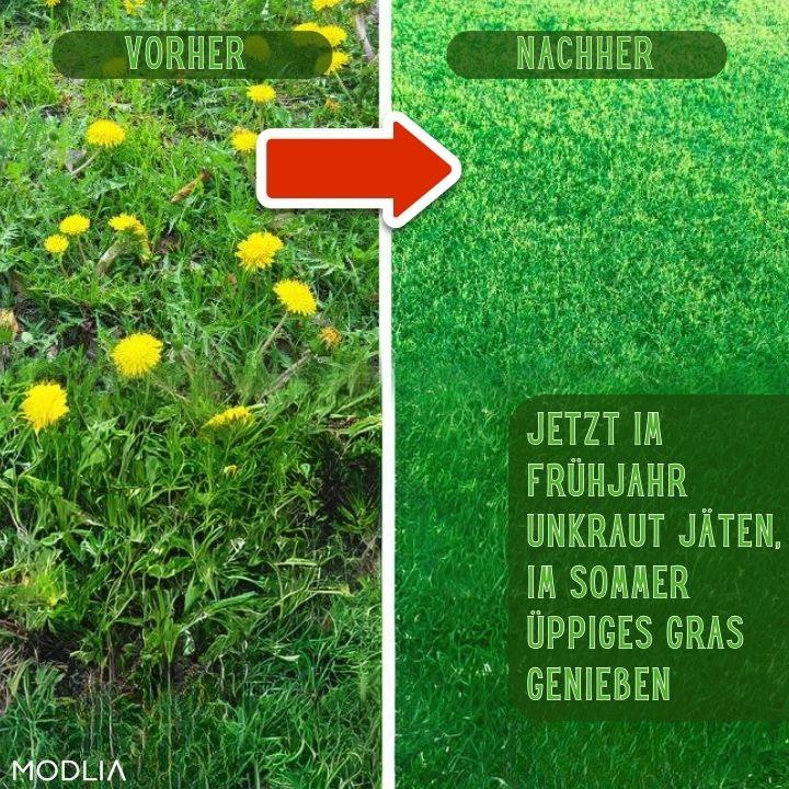50% RABATT TEMPORÄR | WeedBuster™ | Bezwingen Sie jede gärtnerische Herausforderung effektiv! - MODLIA