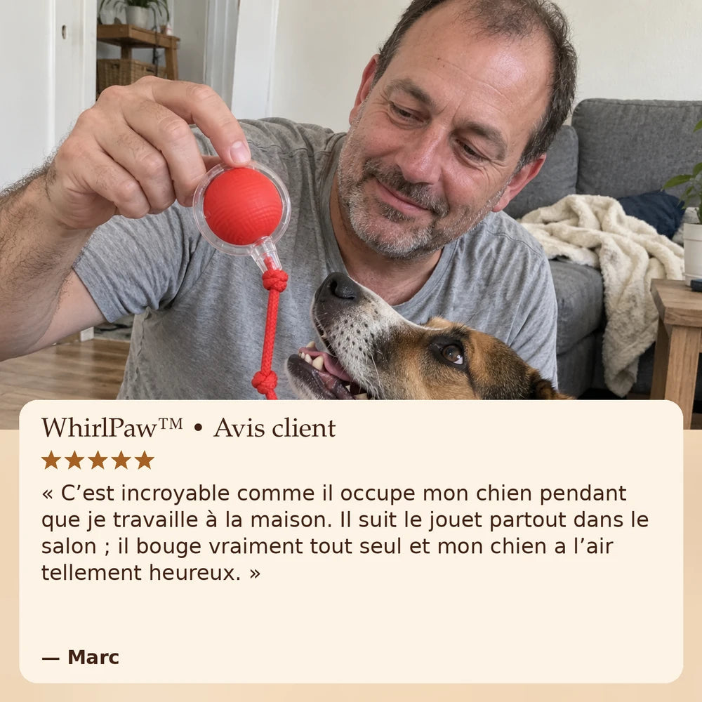 1+1 OFFERT · AUJOURD'HUI · WhirlPaw™ · Balle interactive pour animaux