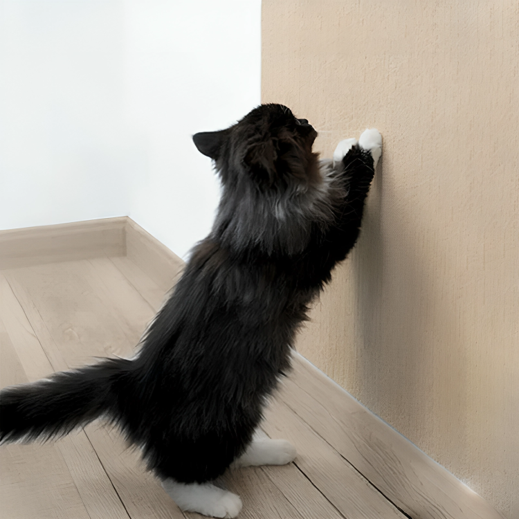 50 % DE REMISE TEMPORAIRE | PurrShield™ | Tapis grattage autocollant pour chats
