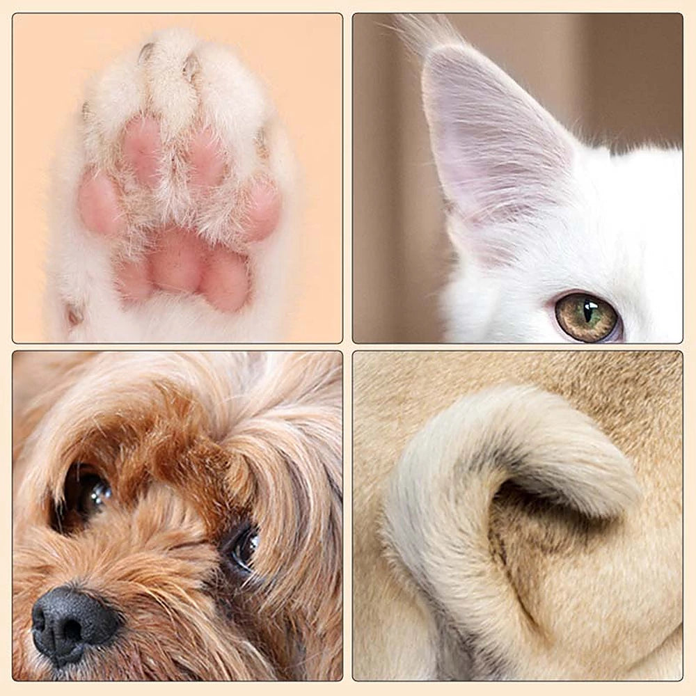 1+1 OFFERT · AUJOURD'HUI · TidyPaws™ · Tondeuse LED Pro pour animaux
