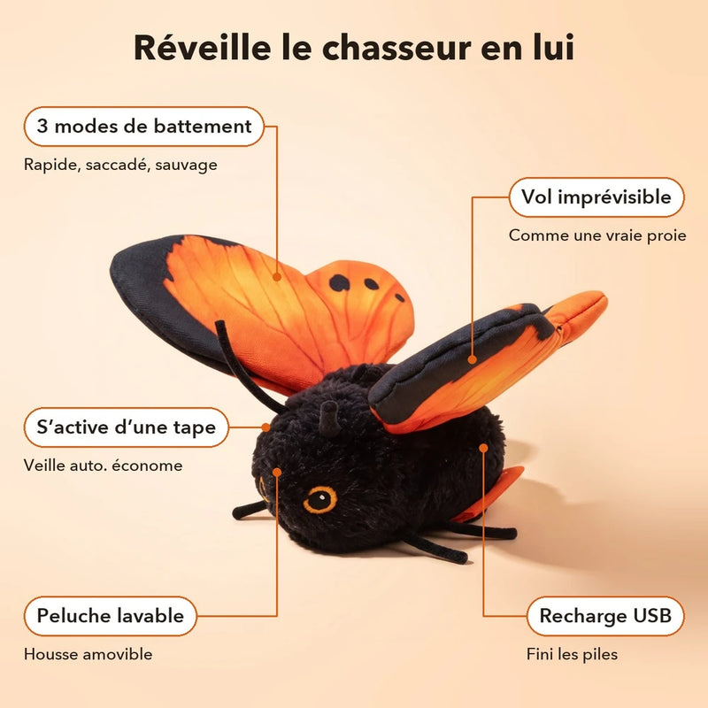 -50 % · OFFRE LIMITÉE · PawBuzz™ · Jouet interactif pour chat volant