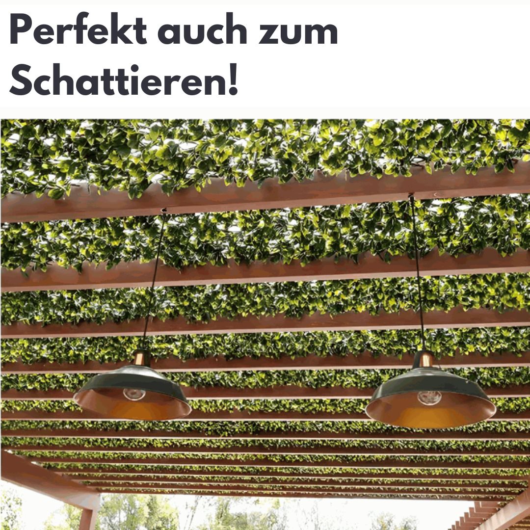 1 + 1 GRATUIT AUJOURD'HUI | GardenScape™ | Une intimité sans effort avec une touche de nature !