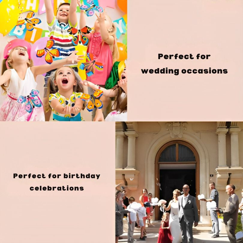 1 + 1 GRATUIT AUJOURD'HUI | FlyButterfly™