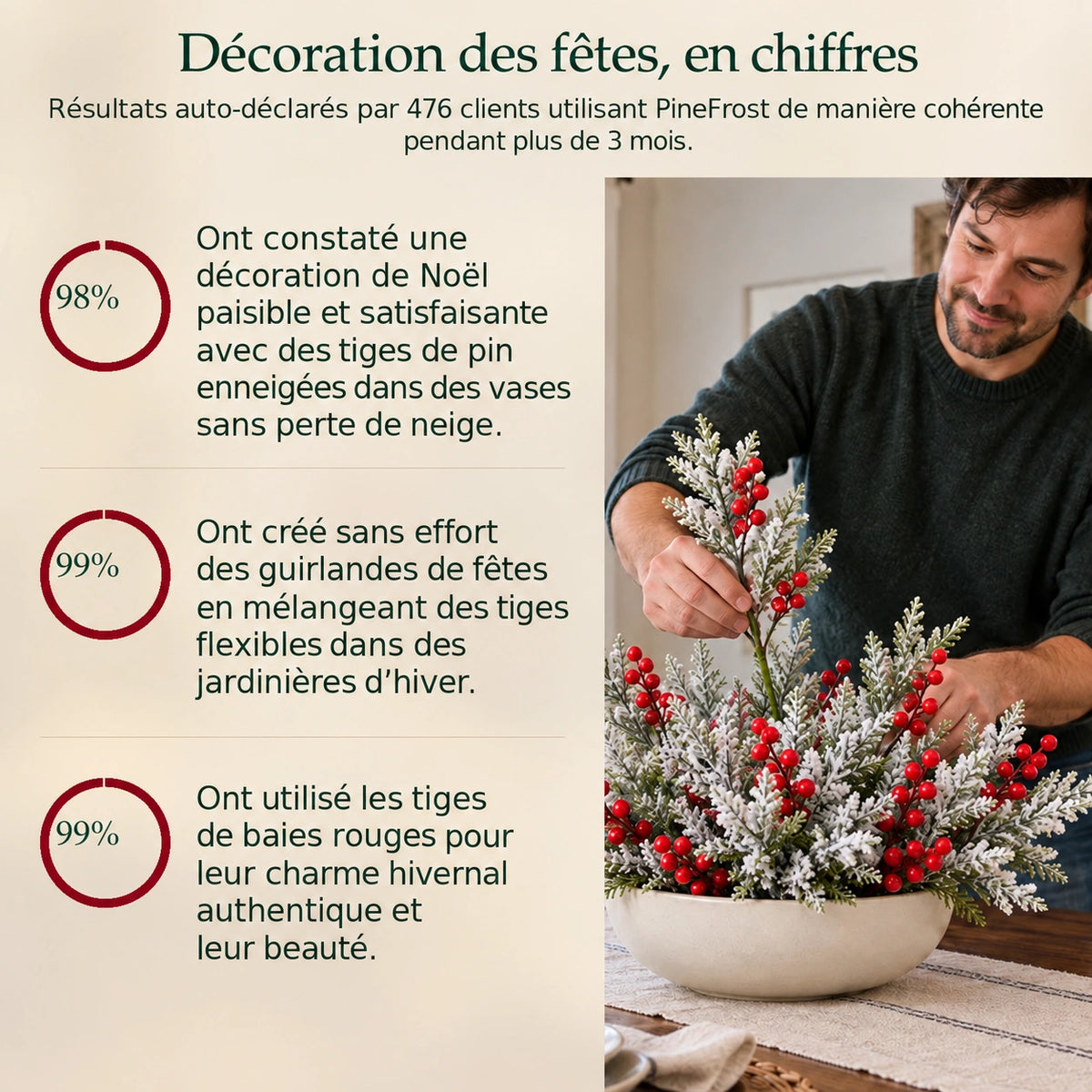 Photographie produit pinefrost en français