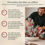 Photographie produit pinefrost en français