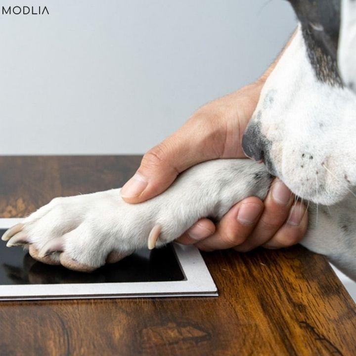 50% RABATT TEMPORÄR | PawMemoirs™ - Andenken mit Pfotenabdruck - MODLIA