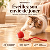 1+1 OFFERT · AUJOURD'HUI · WhirlPaw™ · Balle interactive pour animaux