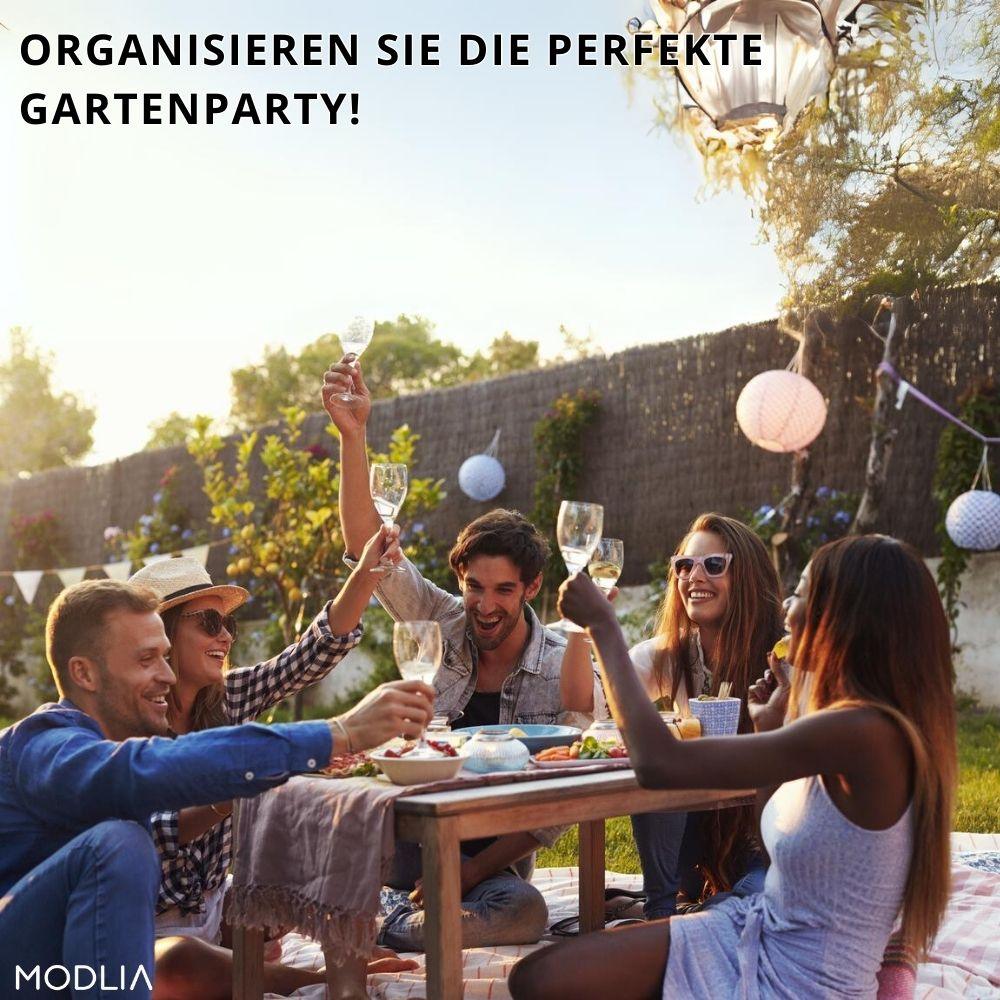 1+1 GRATIS TEMPORÄR | InstaGrass™ I Schaffen Sie einen pflegeleichten, üppigen und vollen Rasen! - MODLIA