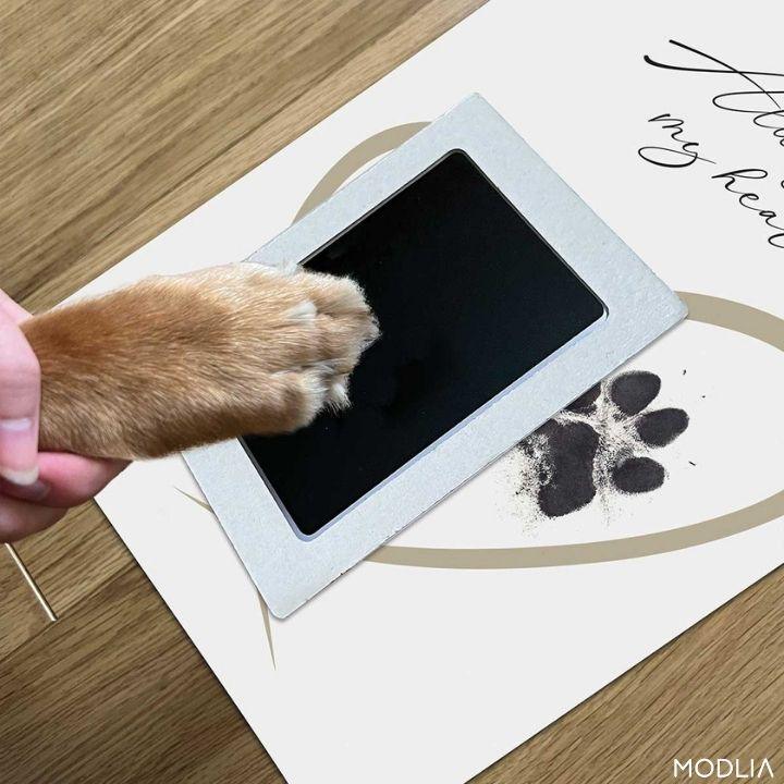 50% RABATT TEMPORÄR | PawMemoirs™ - Andenken mit Pfotenabdruck - MODLIA