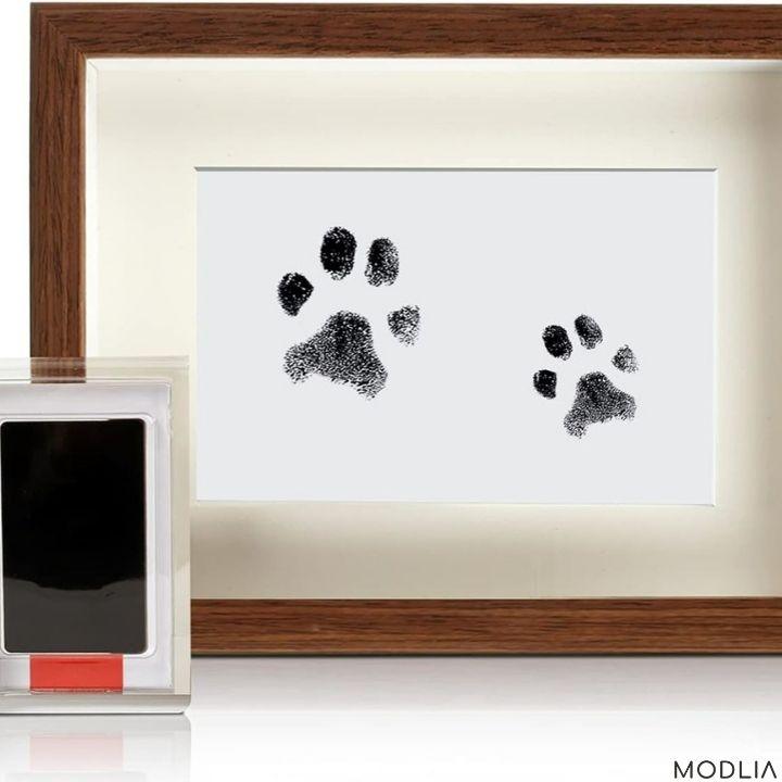 50% RABATT TEMPORÄR | PawMemoirs™ - Andenken mit Pfotenabdruck - MODLIA