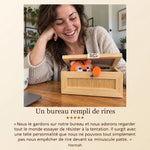 Photographie produit flipprank en français