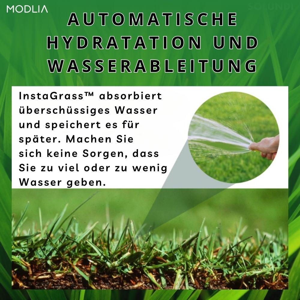 1+1 GRATIS TEMPORÄR | InstaGrass™ I Schaffen Sie einen pflegeleichten, üppigen und vollen Rasen! - MODLIA