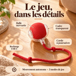 1+1 OFFERT · AUJOURD'HUI · WhirlPaw™ · Balle interactive pour animaux