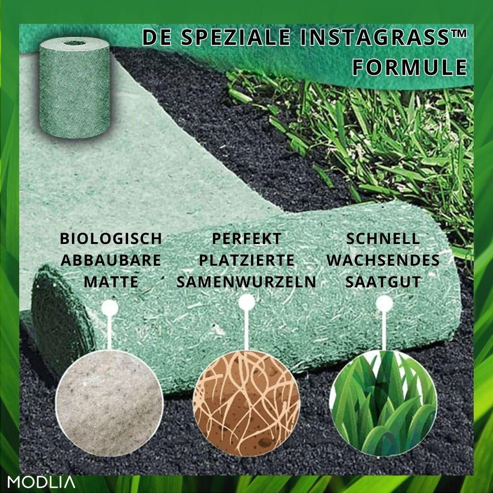 1+1 GRATIS TEMPORÄR | InstaGrass™ I Schaffen Sie einen pflegeleichten, üppigen und vollen Rasen! - MODLIA