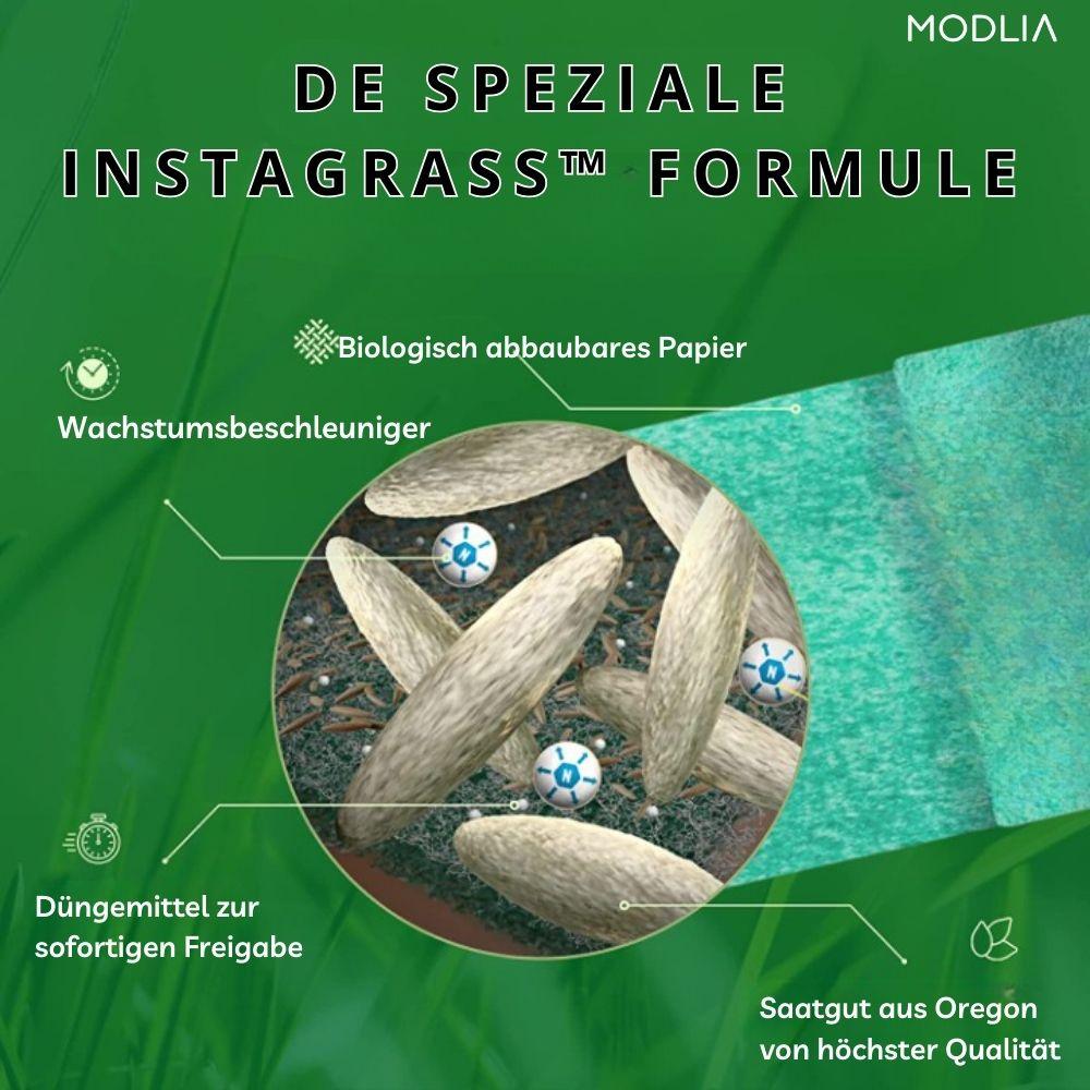 1+1 GRATIS TEMPORÄR | InstaGrass™ I Schaffen Sie einen pflegeleichten, üppigen und vollen Rasen! - MODLIA