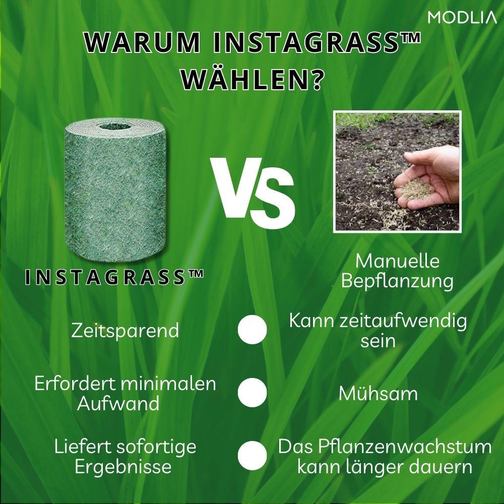 1+1 GRATIS TEMPORÄR | InstaGrass™ I Schaffen Sie einen pflegeleichten, üppigen und vollen Rasen! - MODLIA