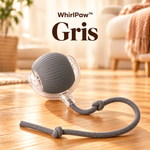 1+1 OFFERT · AUJOURD'HUI · WhirlPaw™ · Balle interactive pour animaux