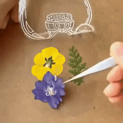 -50 % · OFFRE LIMITÉE · BloomMarks™ · Marque-pages en fleurs naturelles
