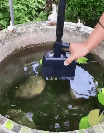 -50 % · OFFRE LIMITÉE · GardenBliss™ · Donnez vie à votre jardin !
