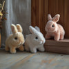 -50 % · OFFRE LIMITÉE · BunnyBot™ · Un compagnon tout doux qui prend vie !