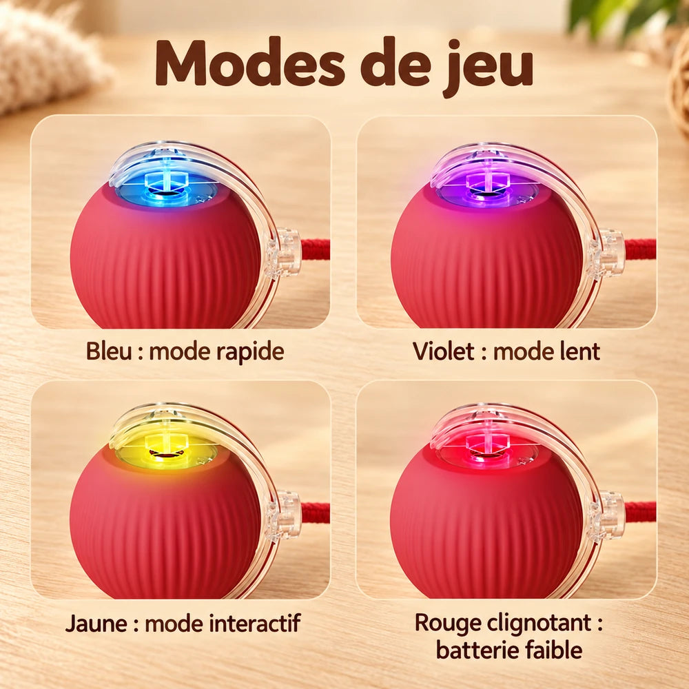 1+1 OFFERT · AUJOURD'HUI · WhirlPaw™ · Balle interactive pour animaux