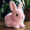 -50 % · OFFRE LIMITÉE · BunnyBot™ · Un compagnon tout doux qui prend vie !