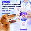 -50 % · OFFRE LIMITÉE · OraPet™ ·  Des dents et des gencives saines grâce au spray dentaire pour animaux !