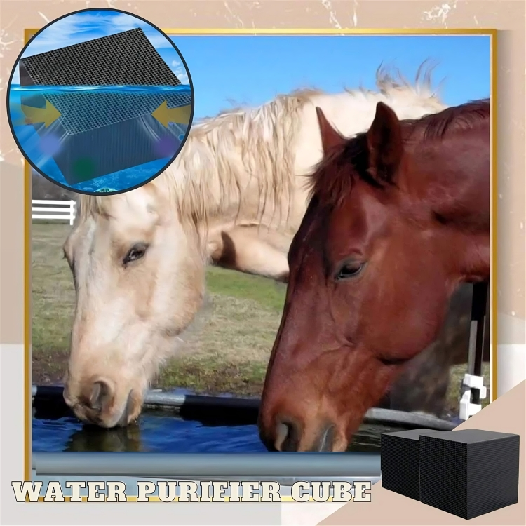 1 + 1 GRATUIT AUJOURD'HUI | AquaCube™ | Cube de traitement de l'eau