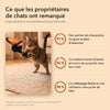 -50 % · OFFRE LIMITÉE · PawBuzz™ · Jouet interactif pour chat volant