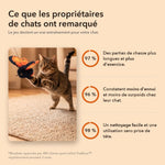 -50 % · OFFRE LIMITÉE · PawBuzz™ · Jouet interactif pour chat volant