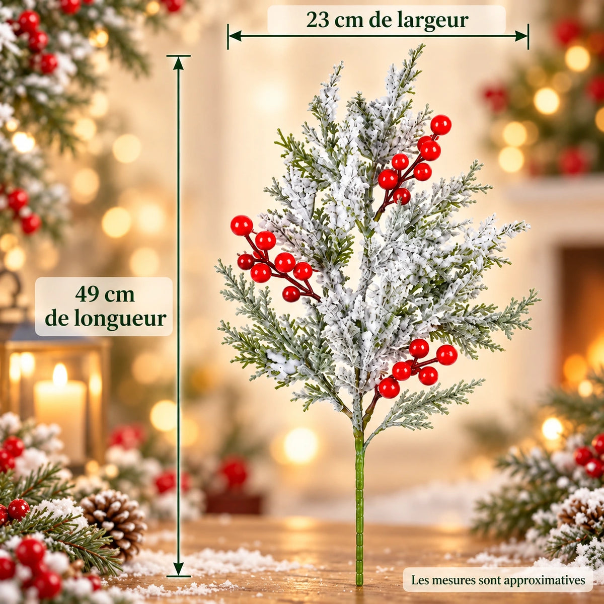 Photographie produit pinefrost en français