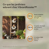 -50 % · OFFRE LIMITÉE · VibrantRooster™ · La décoration de jardin la plus joyeuse !