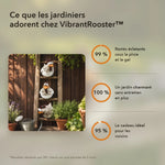 -50 % · OFFRE LIMITÉE · VibrantRooster™ · La décoration de jardin la plus joyeuse !