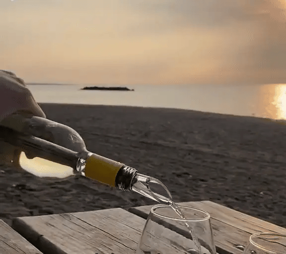 50 % DE REMISE TEMPORAIRE  ChillRod™ - Vino Chill
