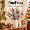 Photographie produit pinefrost en français