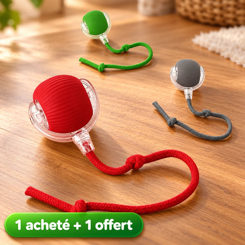 1+1 OFFERT · AUJOURD'HUI · WhirlPaw™ · Balle interactive pour animaux