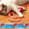 1+1 OFFERT · AUJOURD'HUI · WhirlPaw™ · Balle interactive pour animaux