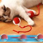 1+1 OFFERT · AUJOURD'HUI · WhirlPaw™ · Balle interactive pour animaux